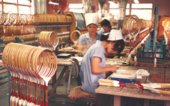 Company History